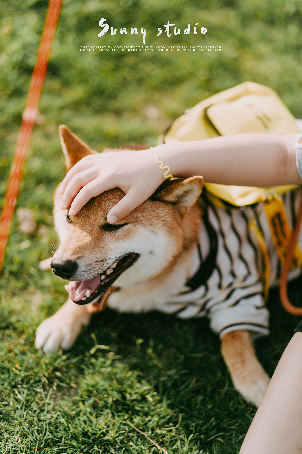 春日放风计划（图ZMjA2Mjc4ODA0） - 人像摄影 - 站酷设计师摄影师孙孙酱原创素材 - 站酷ZCOOL