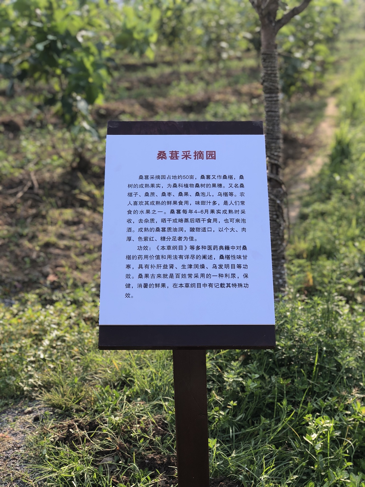 咸丰-余杭 马倌屯现代农业产业园