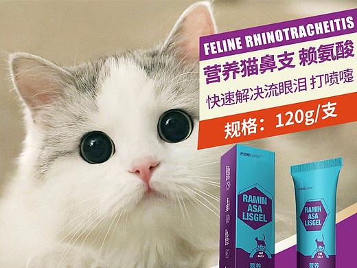 宠物用品