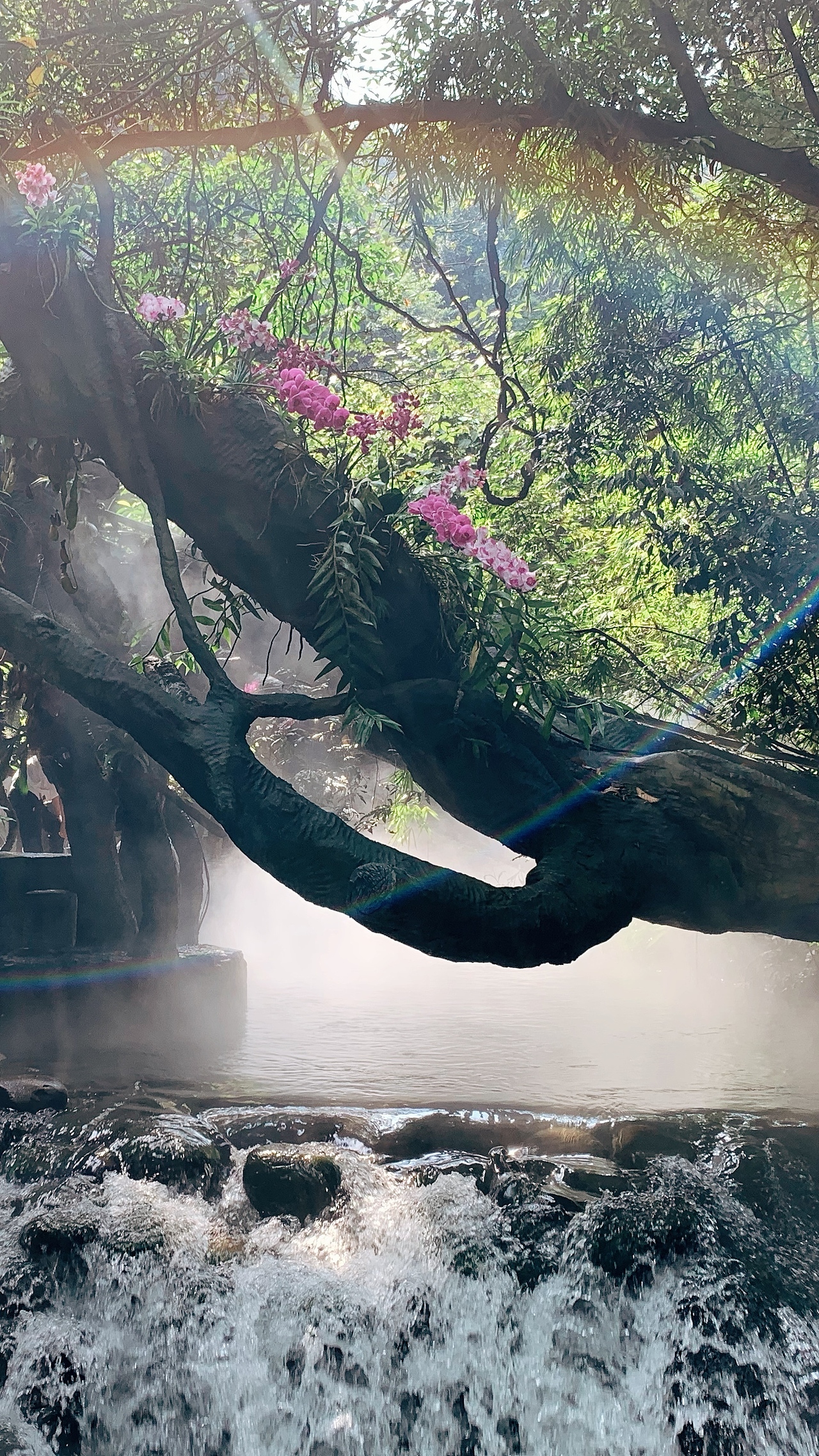 清远-古龙峡漂流一日游📹摄影作品
