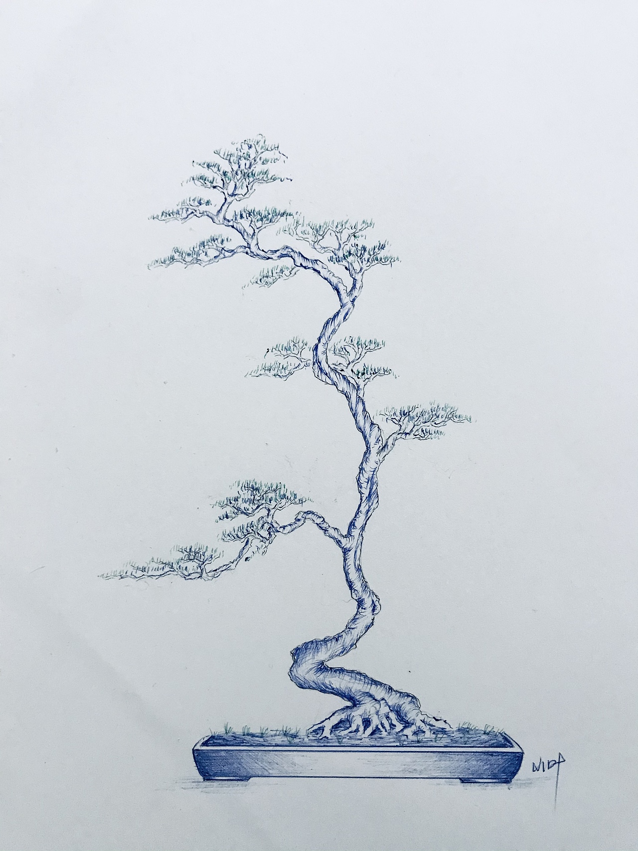 盆景（图ZMjUzMzMyODE2） - 绘画 - 站酷设计师Z75835907原创素材 - 站酷ZCOOL