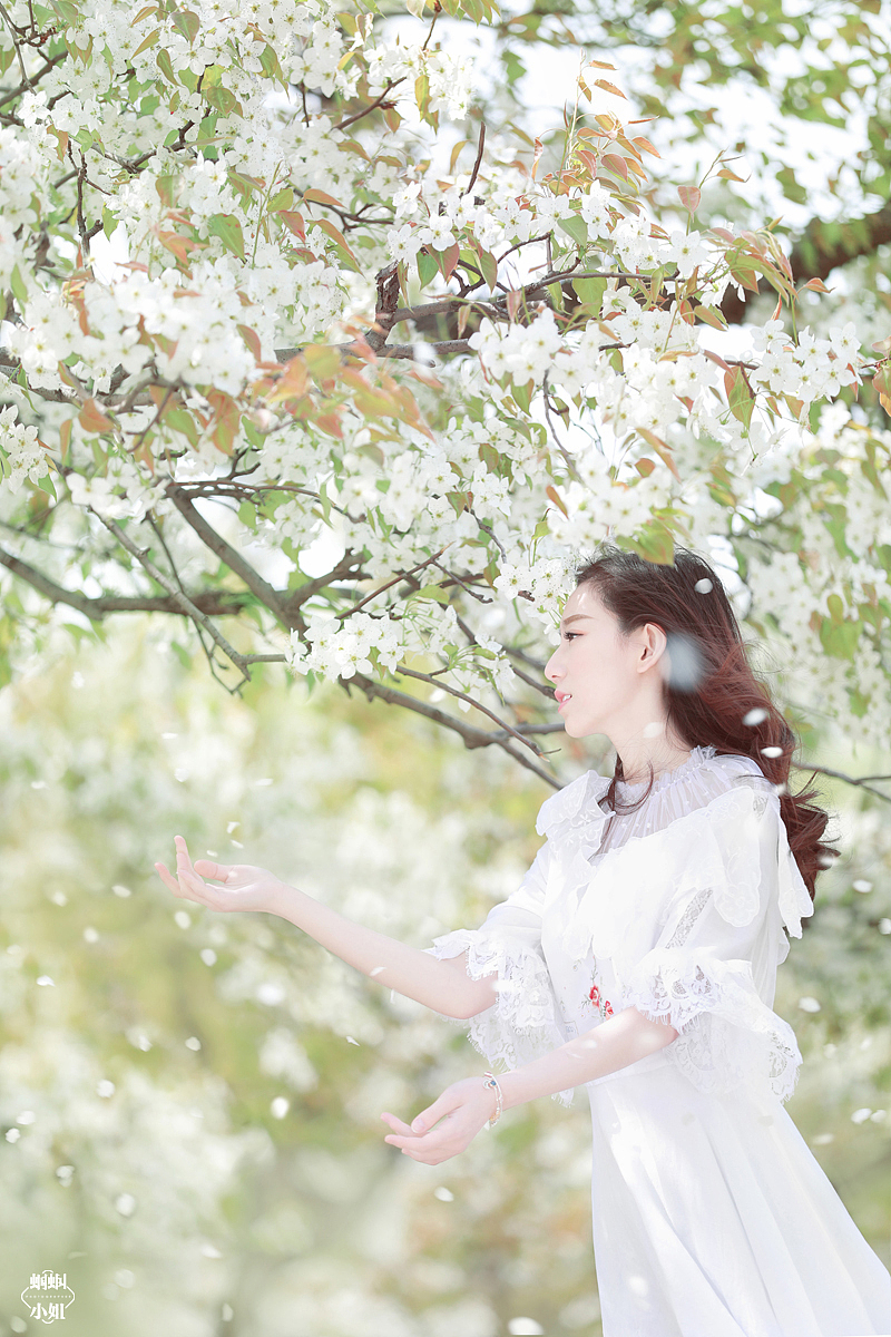The blossom（图ZNzg2ODEwNjA=） - 人像摄影 - 站酷设计师摄影师蝈蝈小姐原创素材 - 站酷ZCOOL