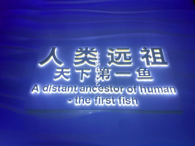云南澄江化石博物馆雕塑及金属装饰