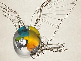 #地球守衛(wèi)者#低碳公益海報