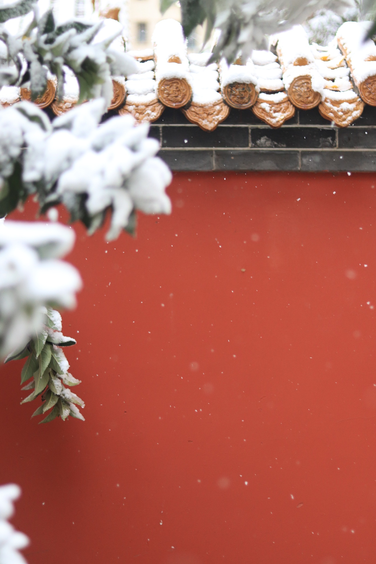 雪天的红墙|摄影|风光摄影|有个祭酒醉了三秋 - 原创作品 - 站酷