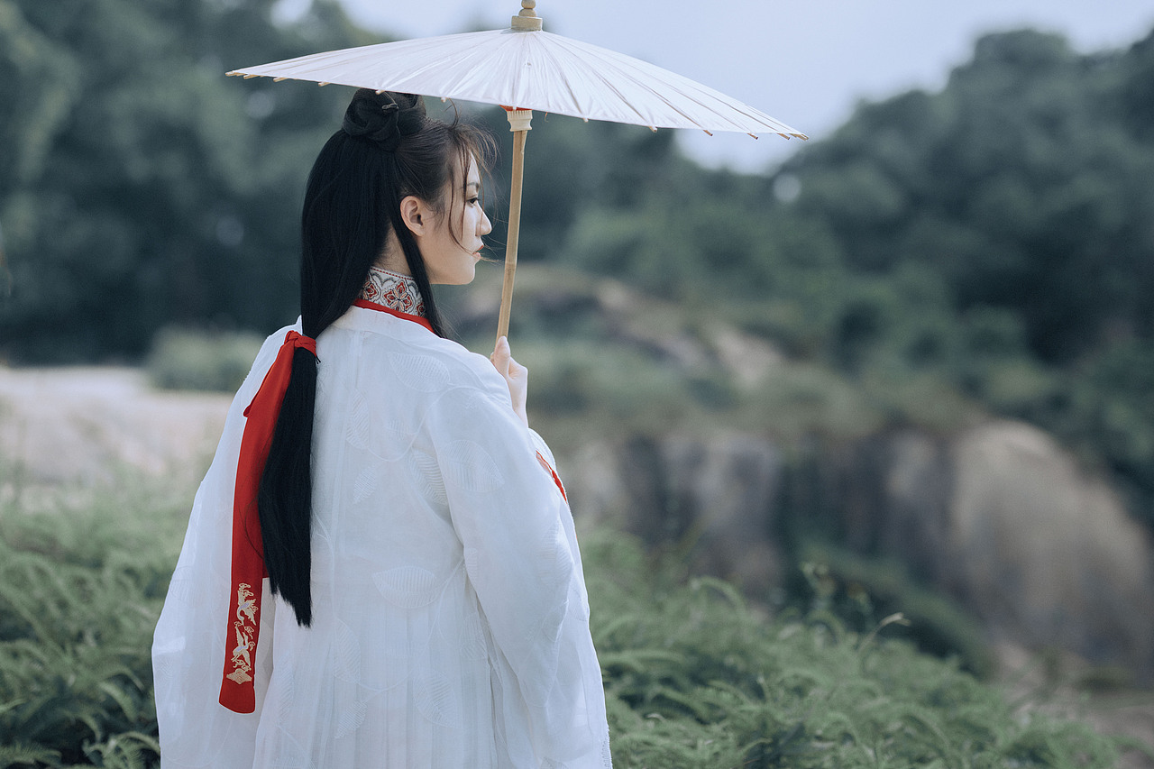 青山归客