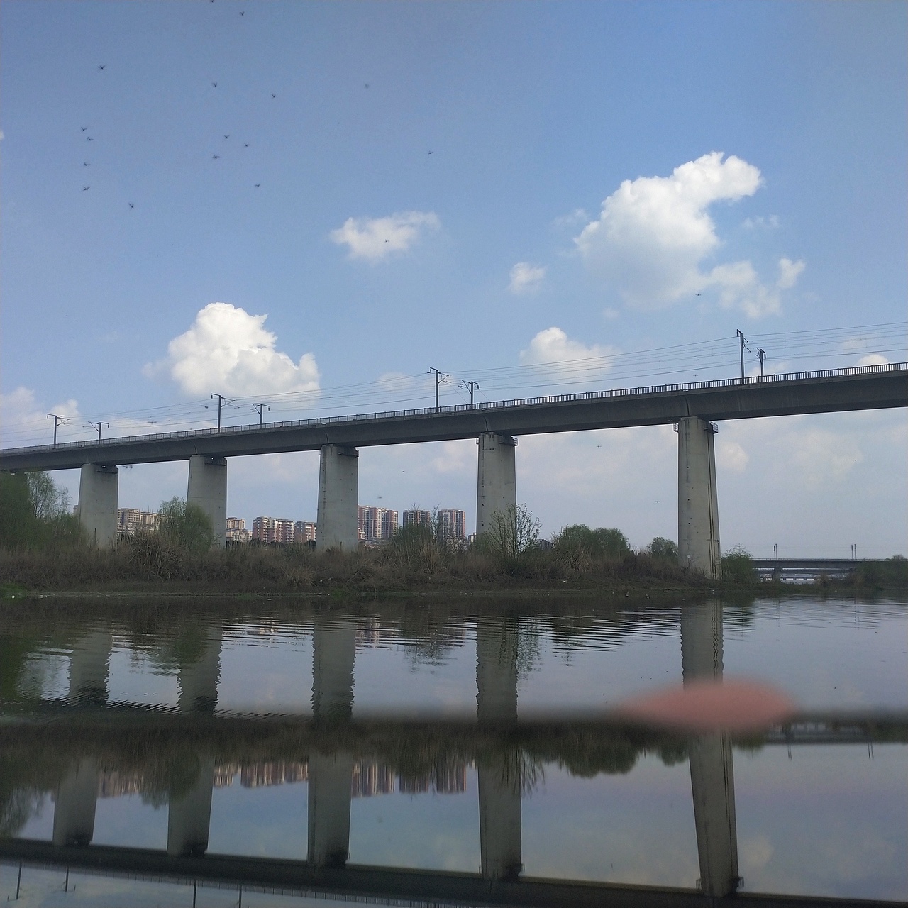 杂图 风景 绿植 夜景