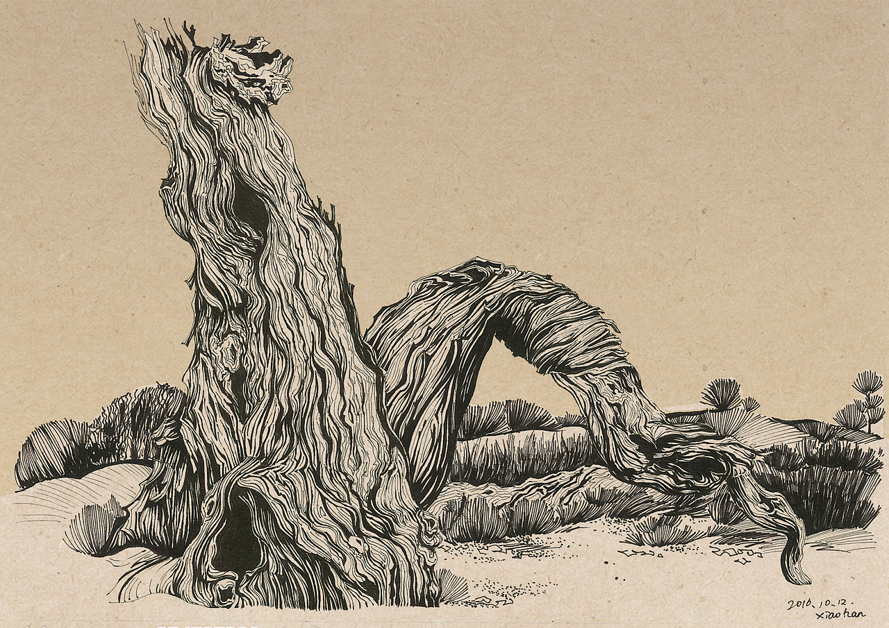 天荒弱木根须绝,地老孤枝叶脉昂。