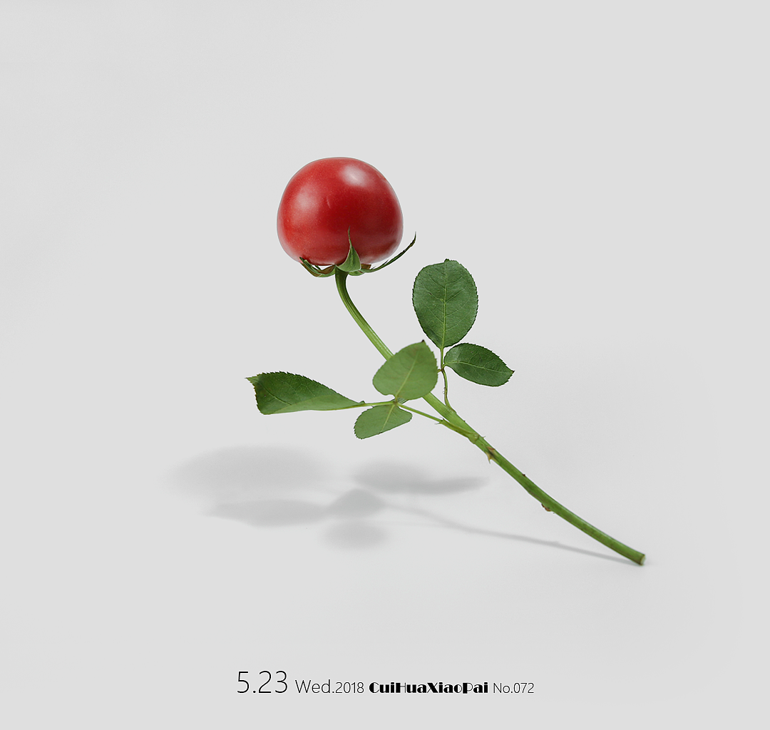 创意摄影#3（图ZMTE2NTE2NzQ0） - 产品摄影 - 站酷设计师翠花小拍原创素材 - 站酷ZCOOL