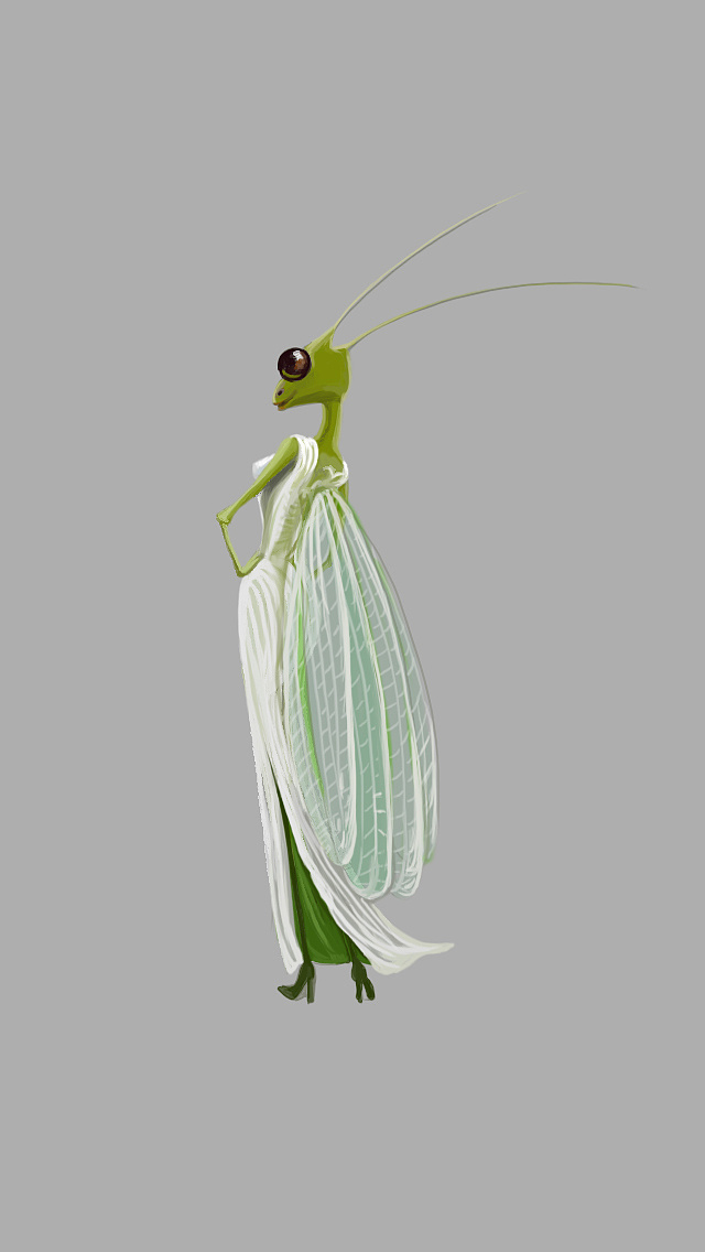 昆虫|插画|商业插画|漫画汤汤 - 原创作品 - 站酷 (zcool)