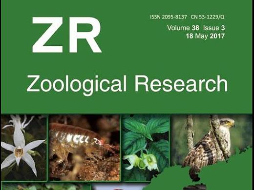 Zoological Research 封面设计