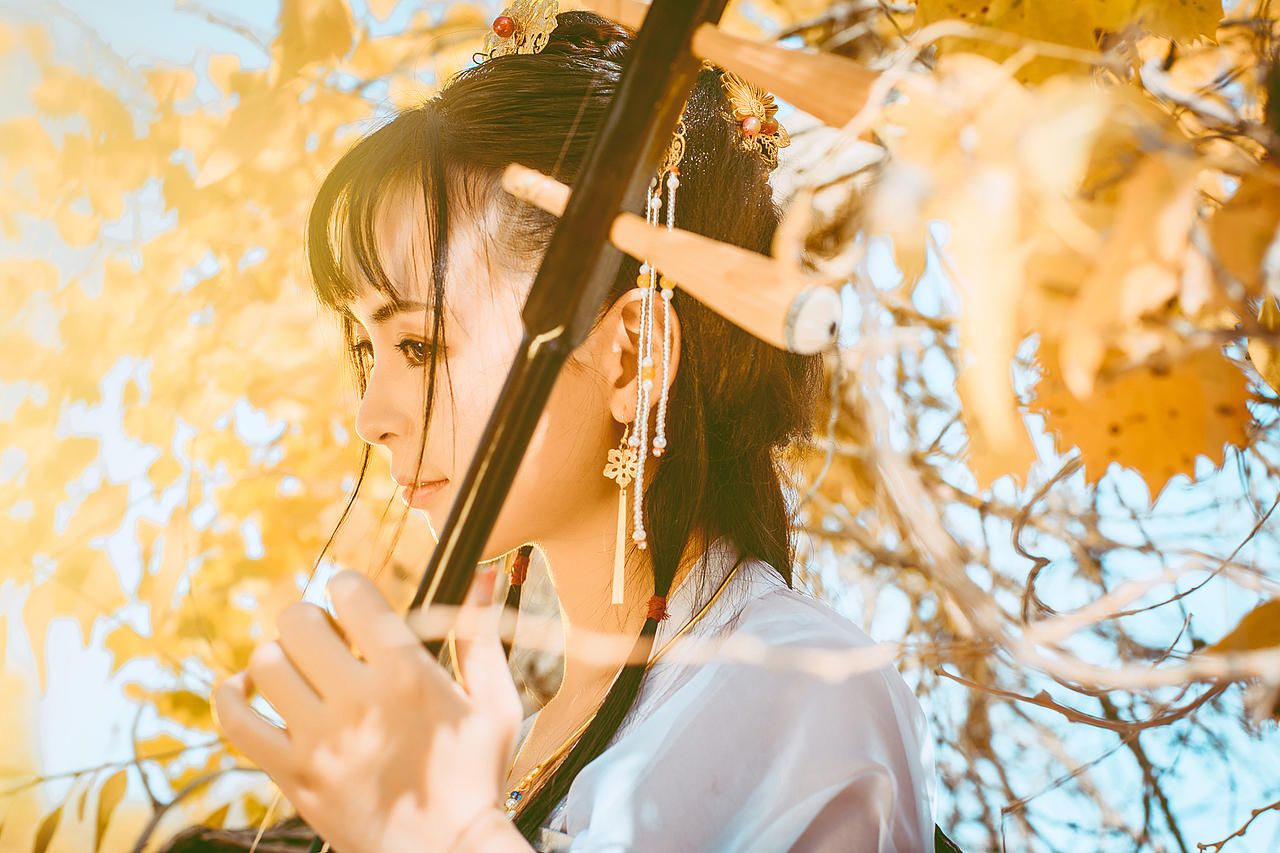 罗姆之舞,胡杨之灵