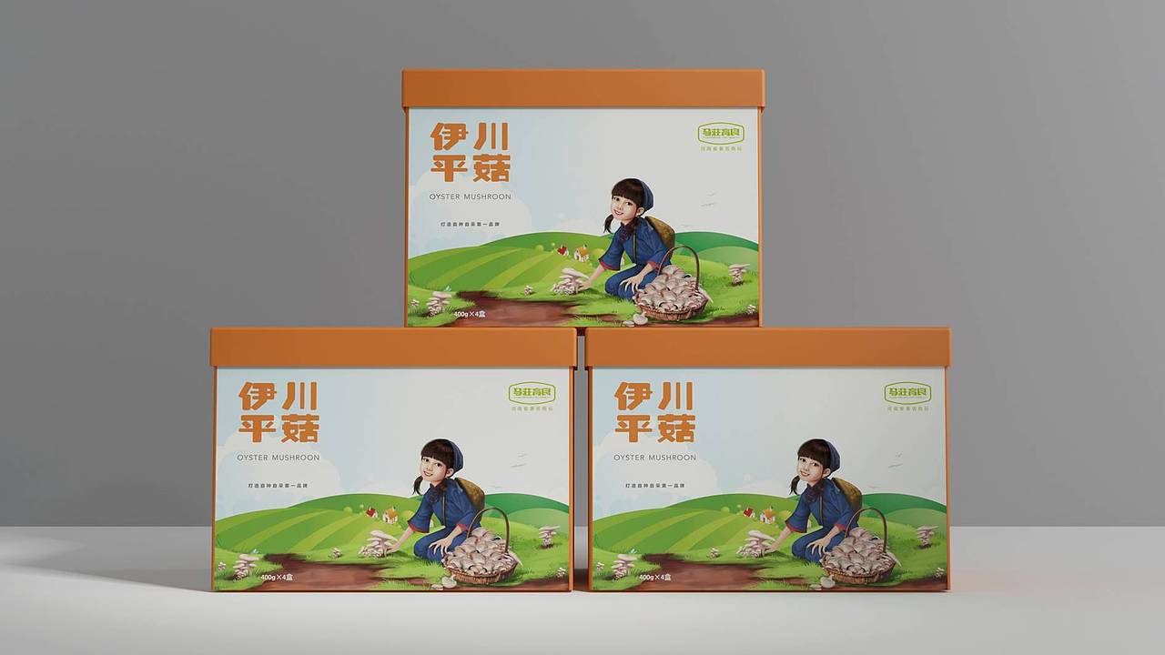 洛阳伊川平菇（图ZMjEwMjg1NDA0） - 包装 - 站酷设计师玖盛传奇原创素材 - 站酷ZCOOL