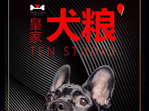 河北赵伊凡的宠物海报