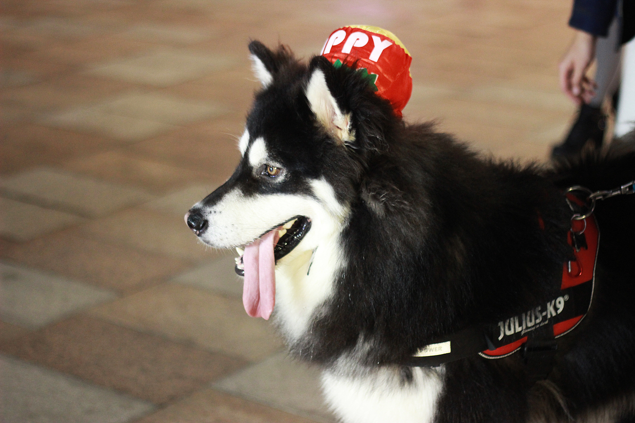 糖果的光（图ZNjg0NDg3MjA=） - 人像摄影 - 站酷设计师牵着蜗牛去跑步原创素材 - 站酷ZCOOL