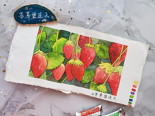 水彩植物|水果 草莓 手绘|绘画视频过程
