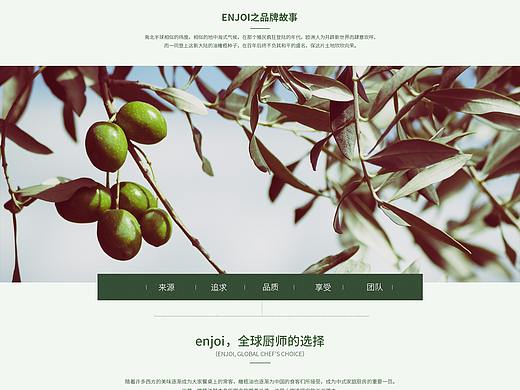 橄榄油二级页