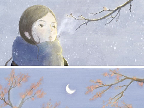插画  二月樱桃树花