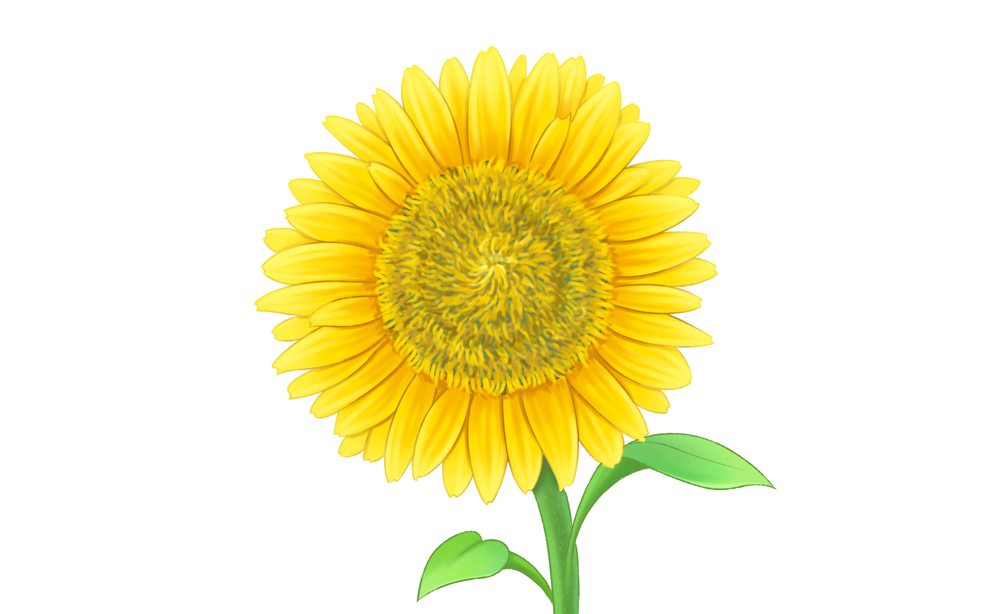 机器人表情动画设计-小精灵系列（图ZMjM4NDgxMTgw） - 艺术插画 - 站酷设计师饭安安Fananan原创素材 - 站酷ZCOOL