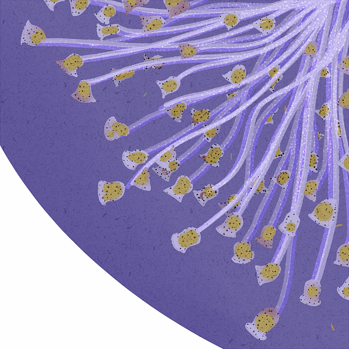 一滴水里有什么？（圖ZMzExNjY5MzQ0） - 藝術(shù)插畫 - 站酷設(shè)計(jì)師畫畫的紙飛機(jī)原創(chuàng)素材 - 站酷ZCOOL