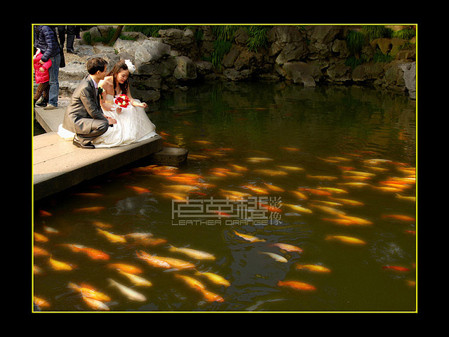 发现瞬间的感动,轻轻记录下您的婚礼的每一个细节——皮革橙影像与平面设计。