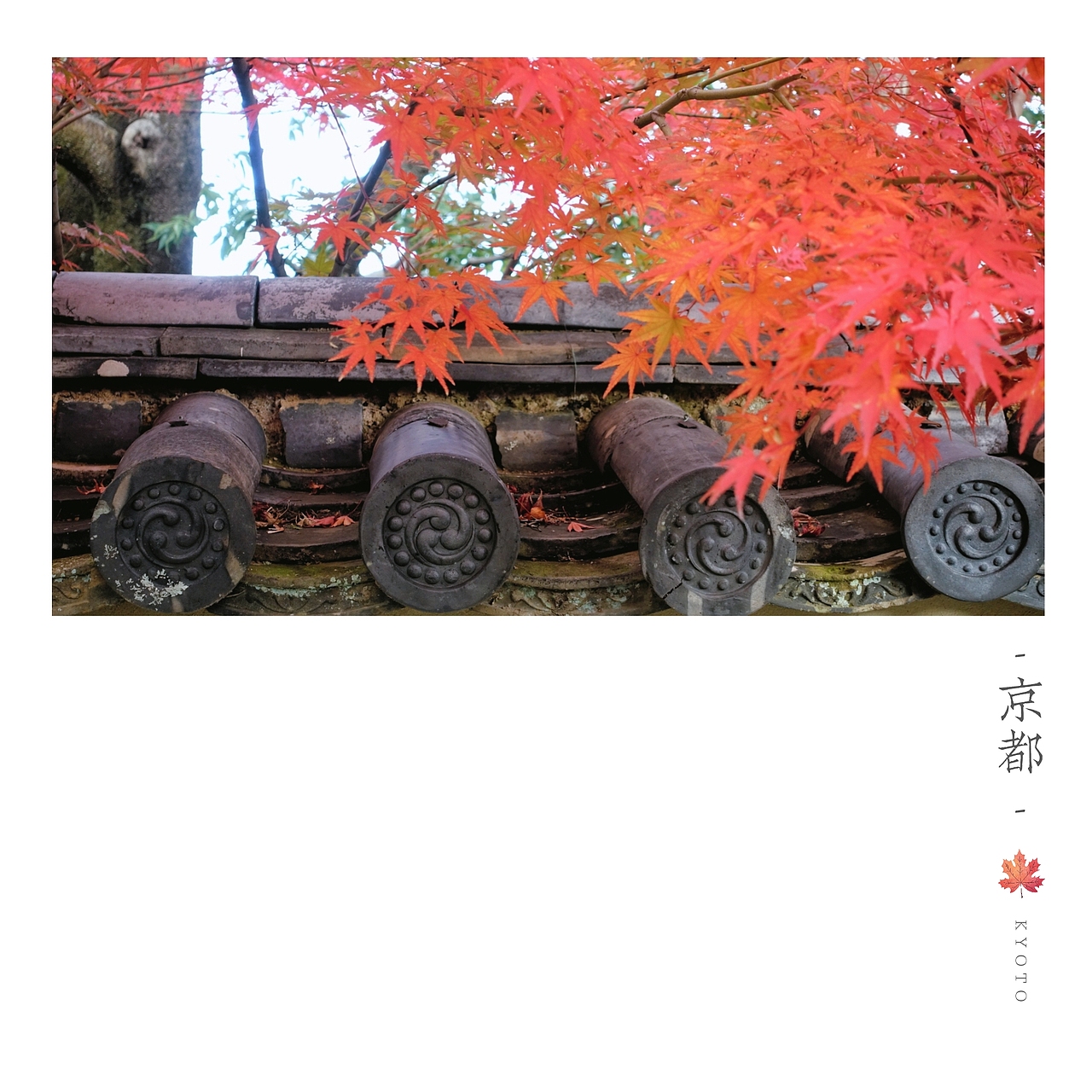 京都楓葉季