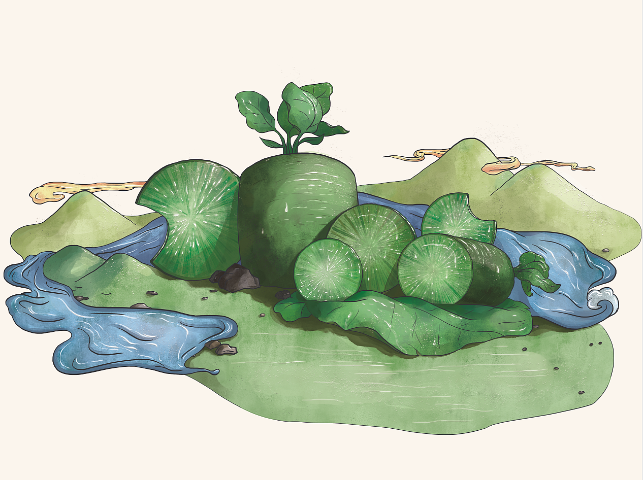 萝卜插画包装