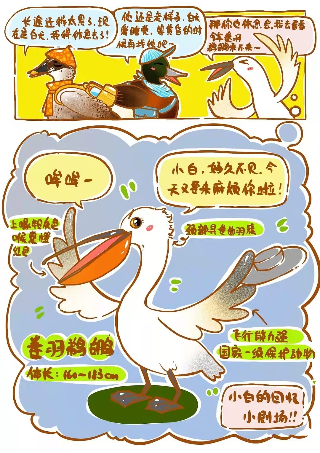 同里湿地公园条漫——候鸟朋友们来了