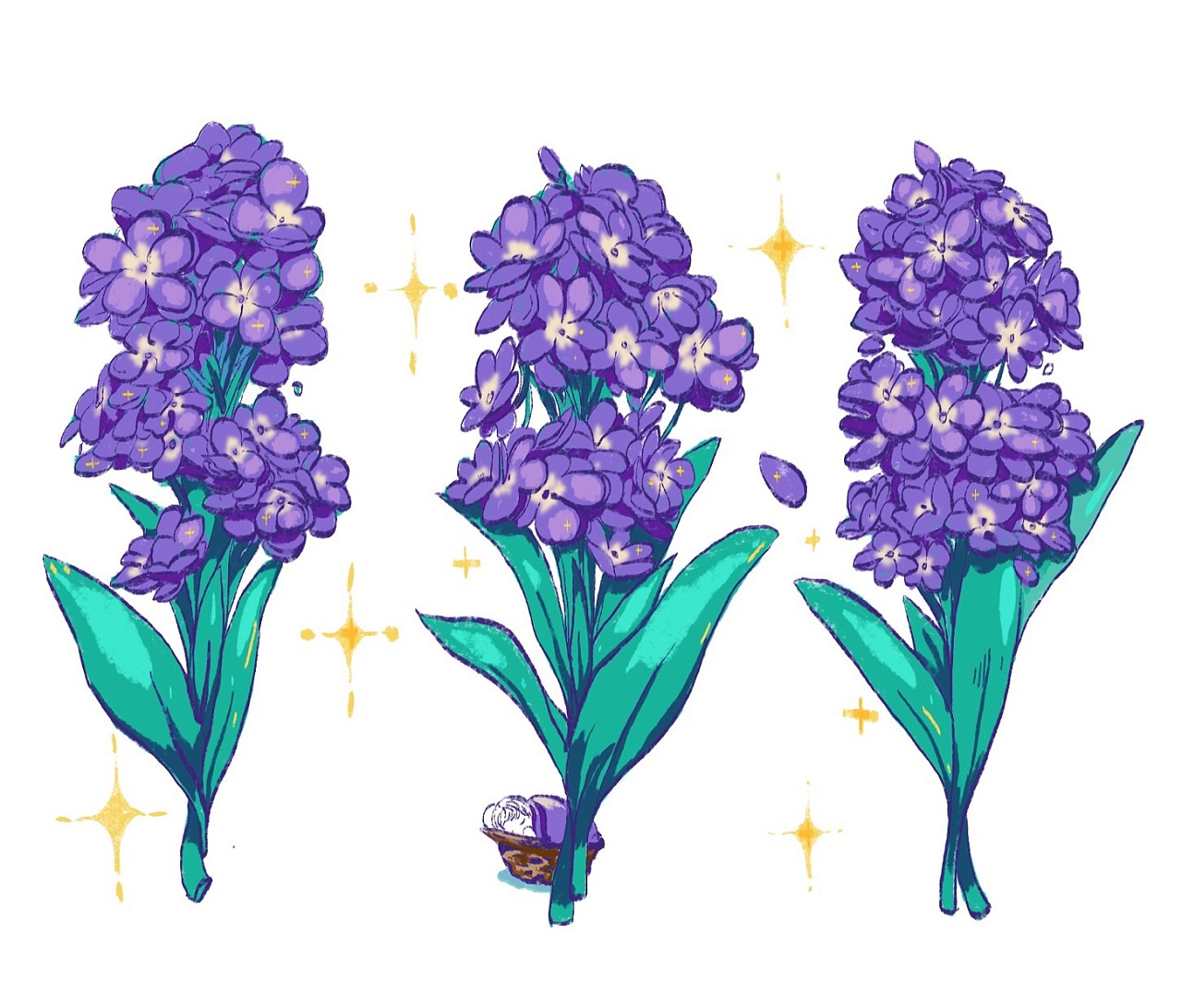 非洲紫罗兰图片_非洲紫罗兰的花朵图片大全 - 花卉网