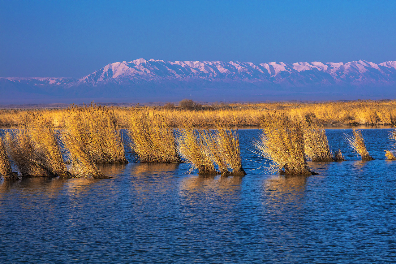 新疆最大的咸水湖——艾比湖（图ZMTc2ODQyNTc2） - 风光摄影 - 站酷设计师新疆摄影家沈久泉原创素材 - 站酷ZCOOL