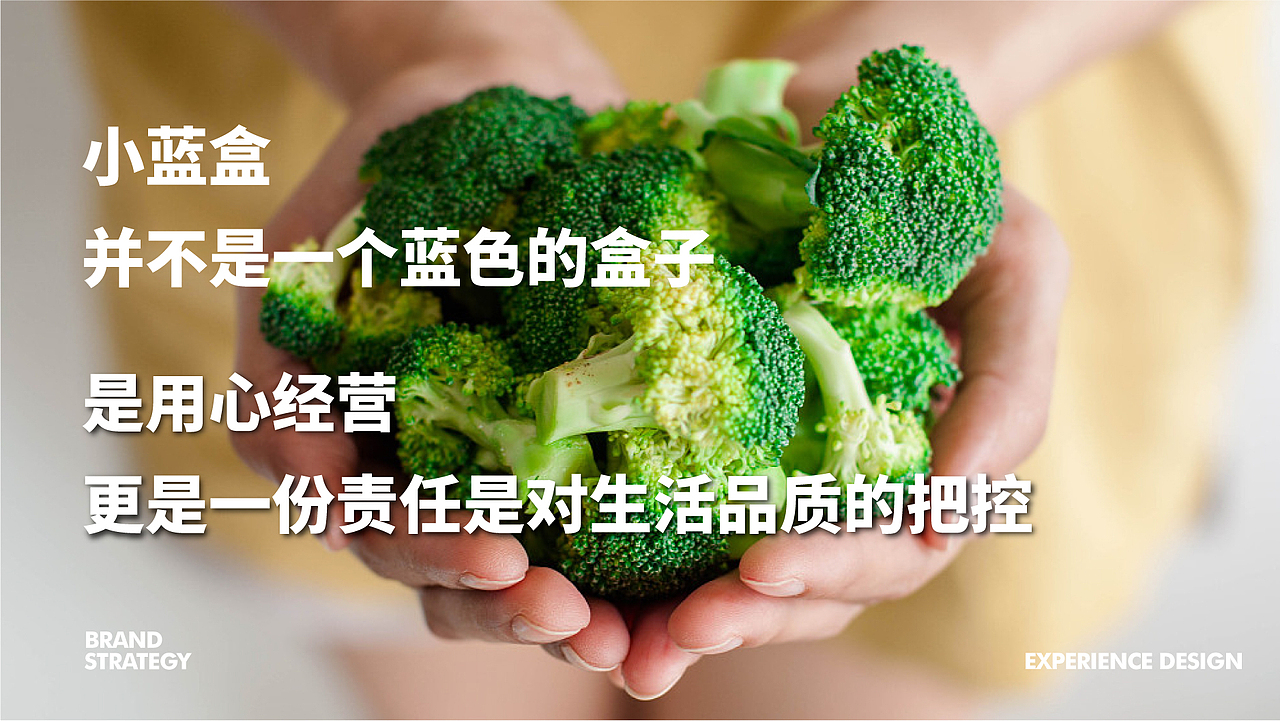 小蓝盒品牌设计（图ZMjQ3OTkxMDI4） - 品牌 - 站酷设计师VB一KC原创素材 - 站酷ZCOOL