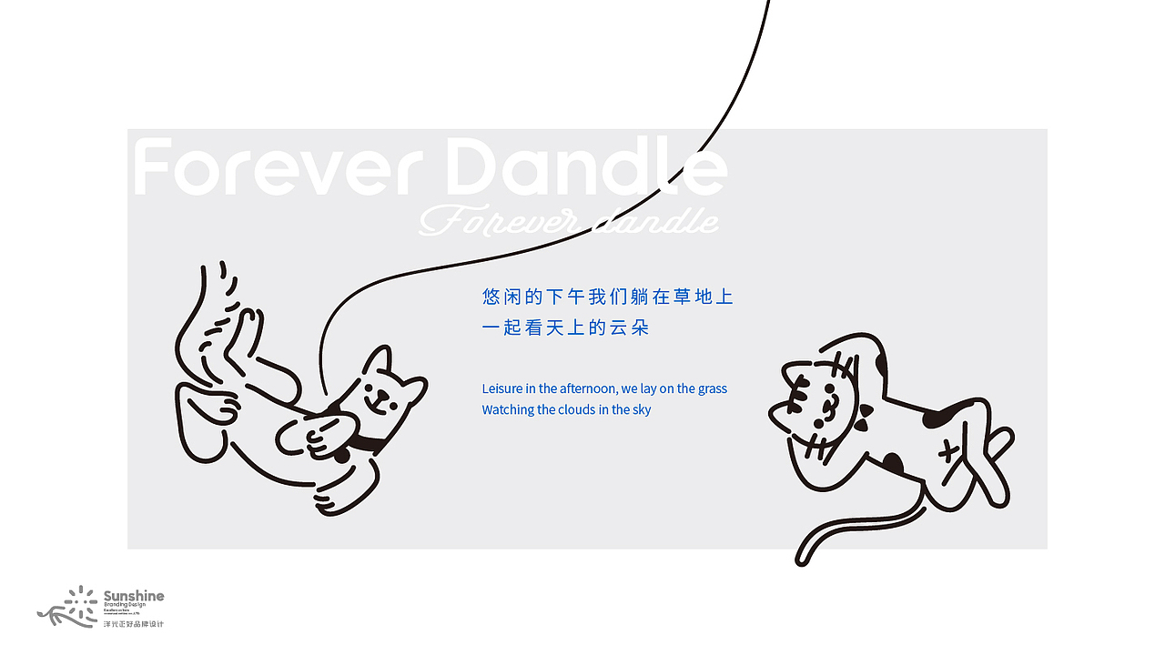 包装 宠物包装设计 宠物品牌设计 宠物湿巾包装 宠物vi