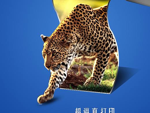 海报 临摹 作业