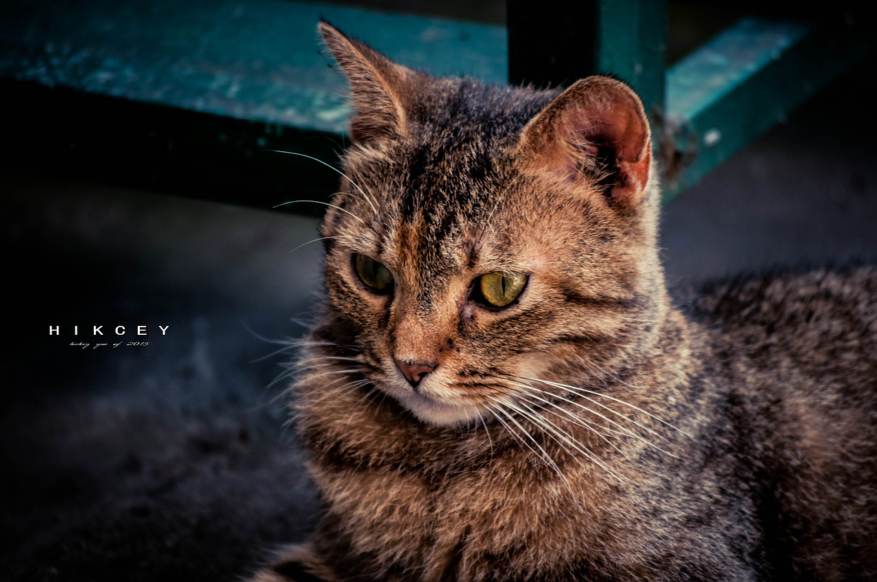 摄影作品-古德寺寺庙