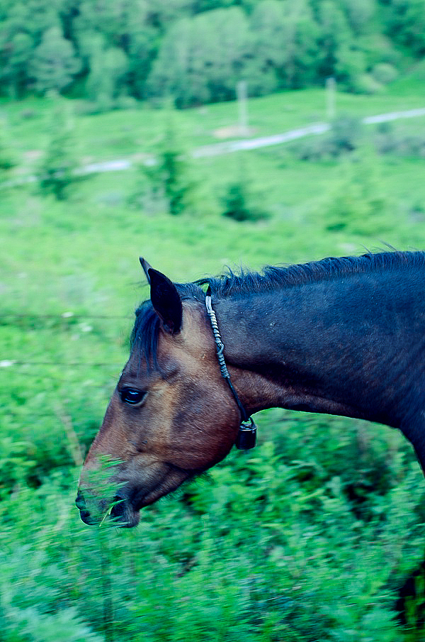 两年前在灵山的随拍（图ZNTU4NjUwNDg=） - 风光摄影 - 站酷设计师琍囡原创素材 - 站酷ZCOOL
