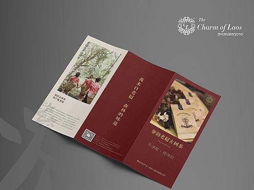 寮韵老挝古树茶折页