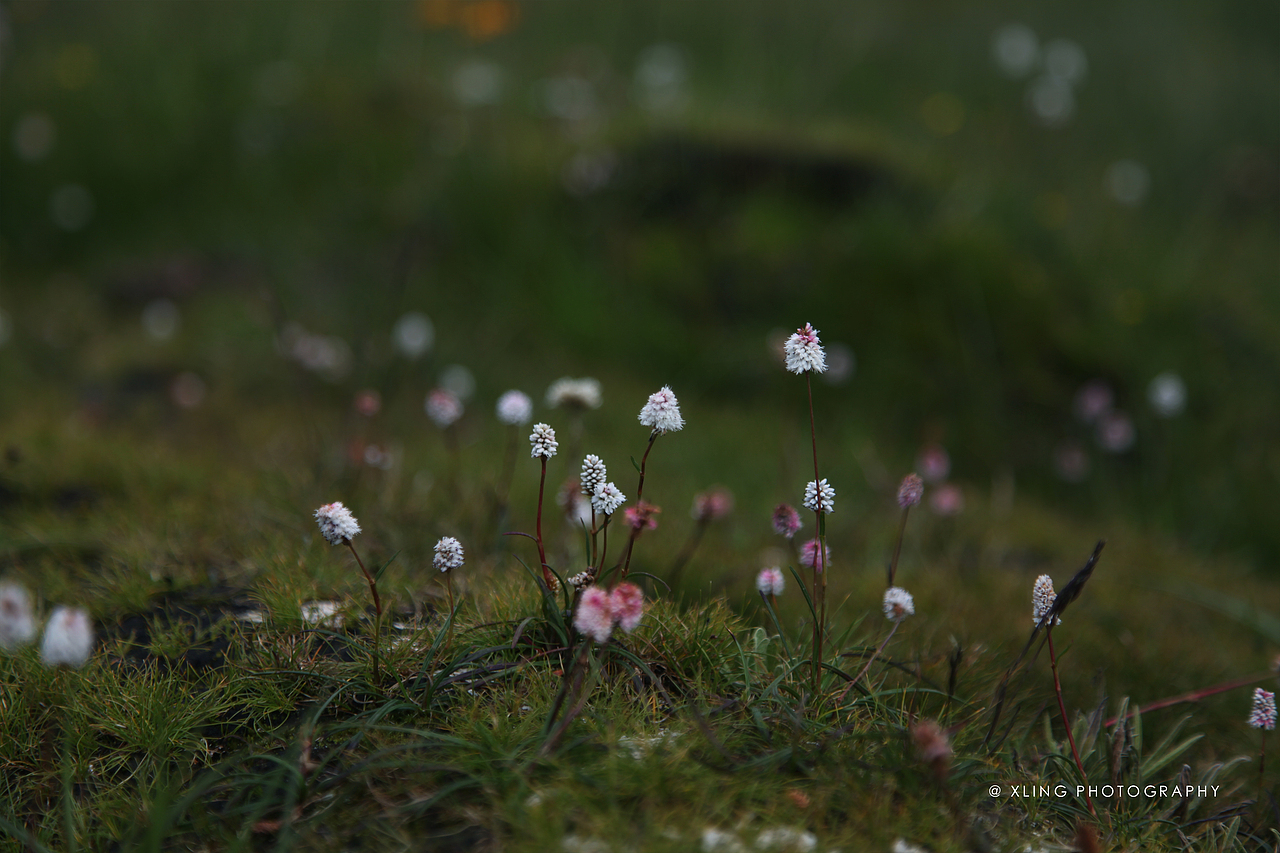 川西之行—稻城亚丁