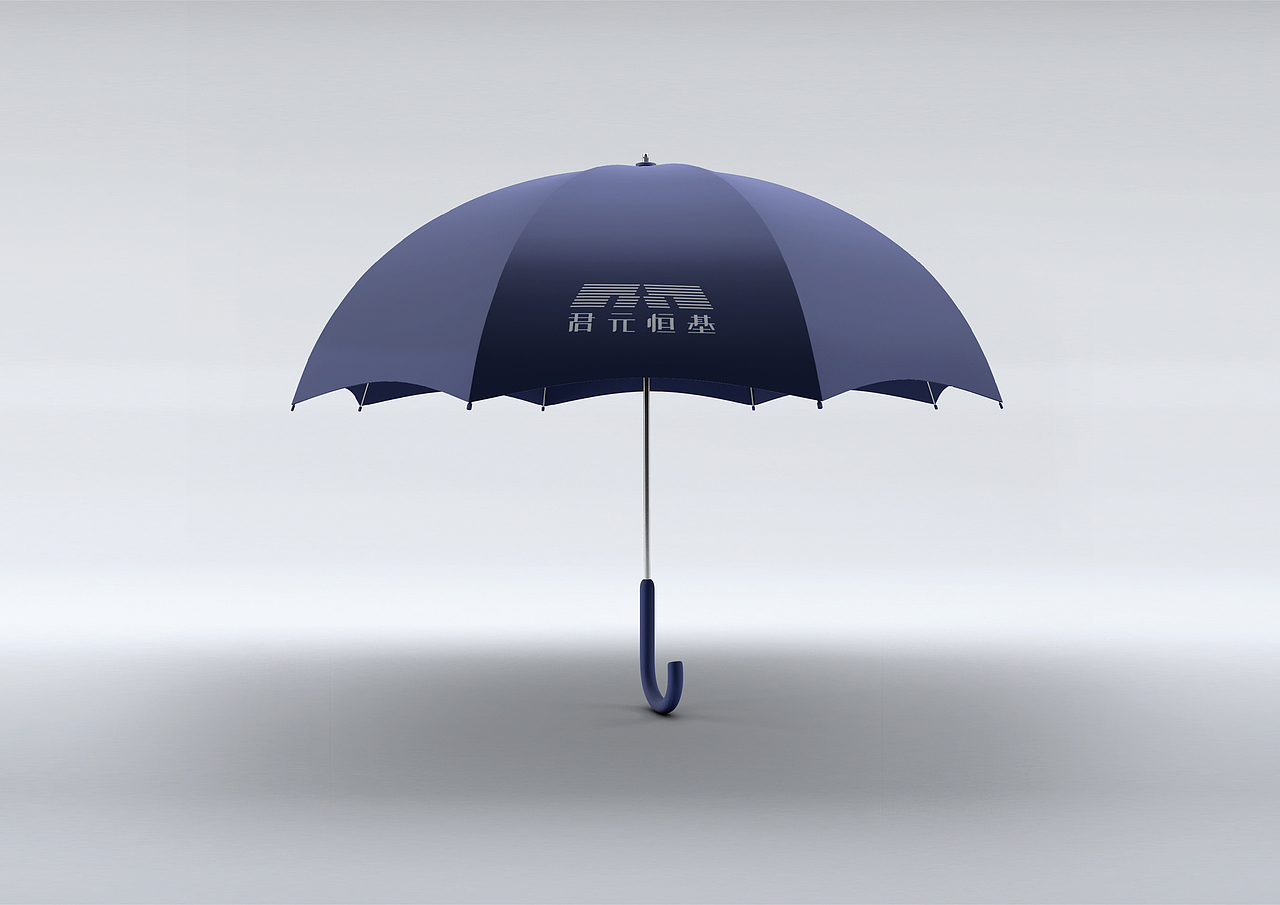 新疆君元恒基品牌策划及设计项目