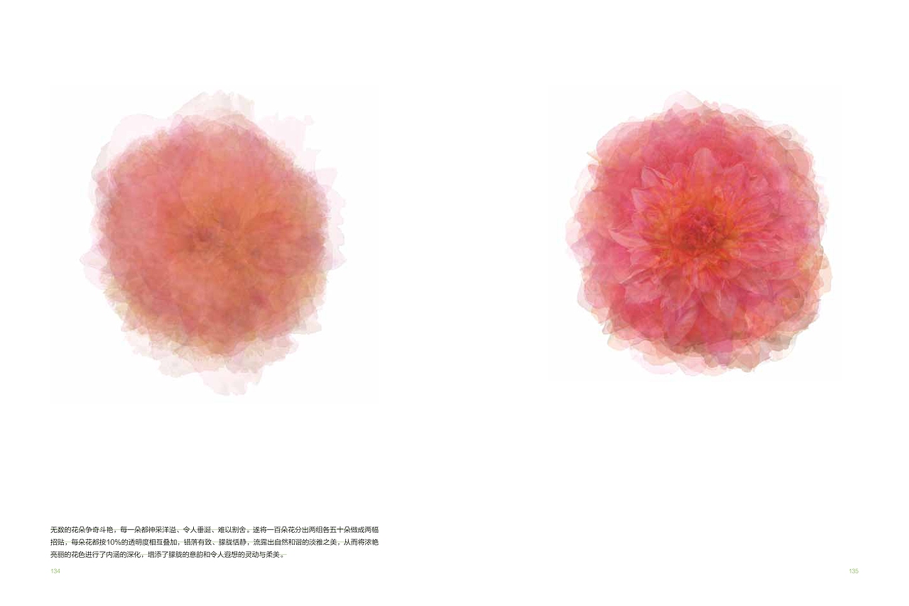 原创一一设计造型语言探索〈蒋志龙把玩平面设计〉