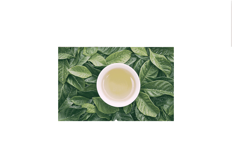 浙茶集团网站改（图ZMTM3Njk5MzIw） - 企业官网 - 站酷设计师又落雨噶原创素材 - 站酷ZCOOL