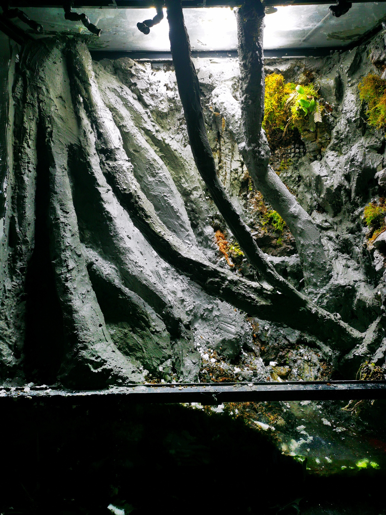 水泥雕塑,雨林缸造景