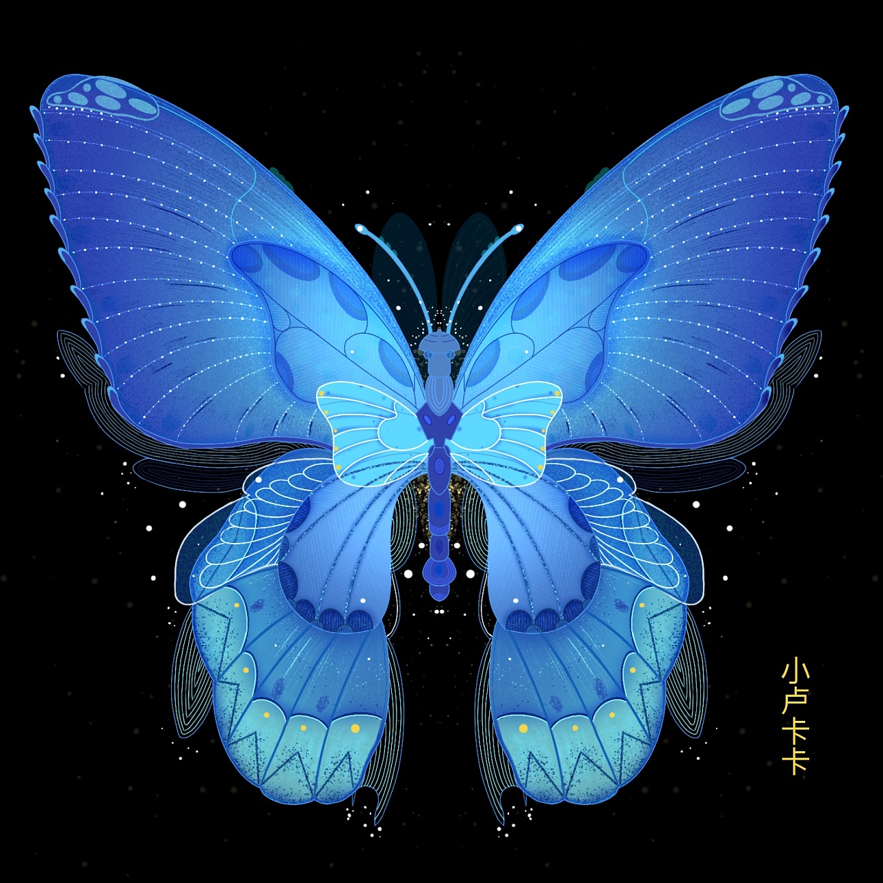 蓝色蝴蝶图片素材_免费下载_jpg图片格式_VRF高清图片500471360_摄图网