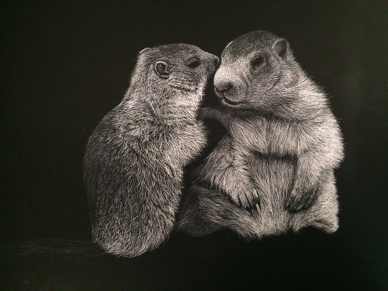 李子哥刮画作品《悄悄话》