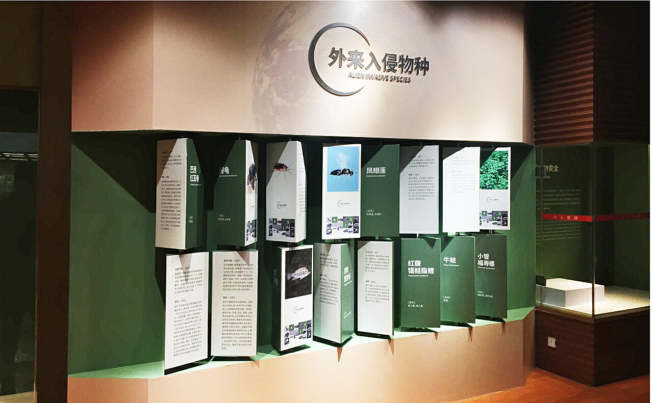 央广网——带你去探鸡密！昆明动物博物馆推出《吉光凤羽》展览----中国科学院昆明动物研究所