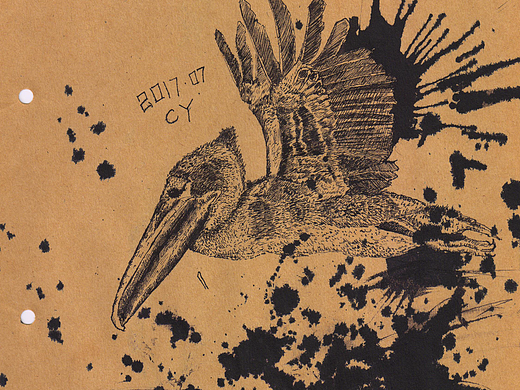 CY手绘-鸟类蘸水画