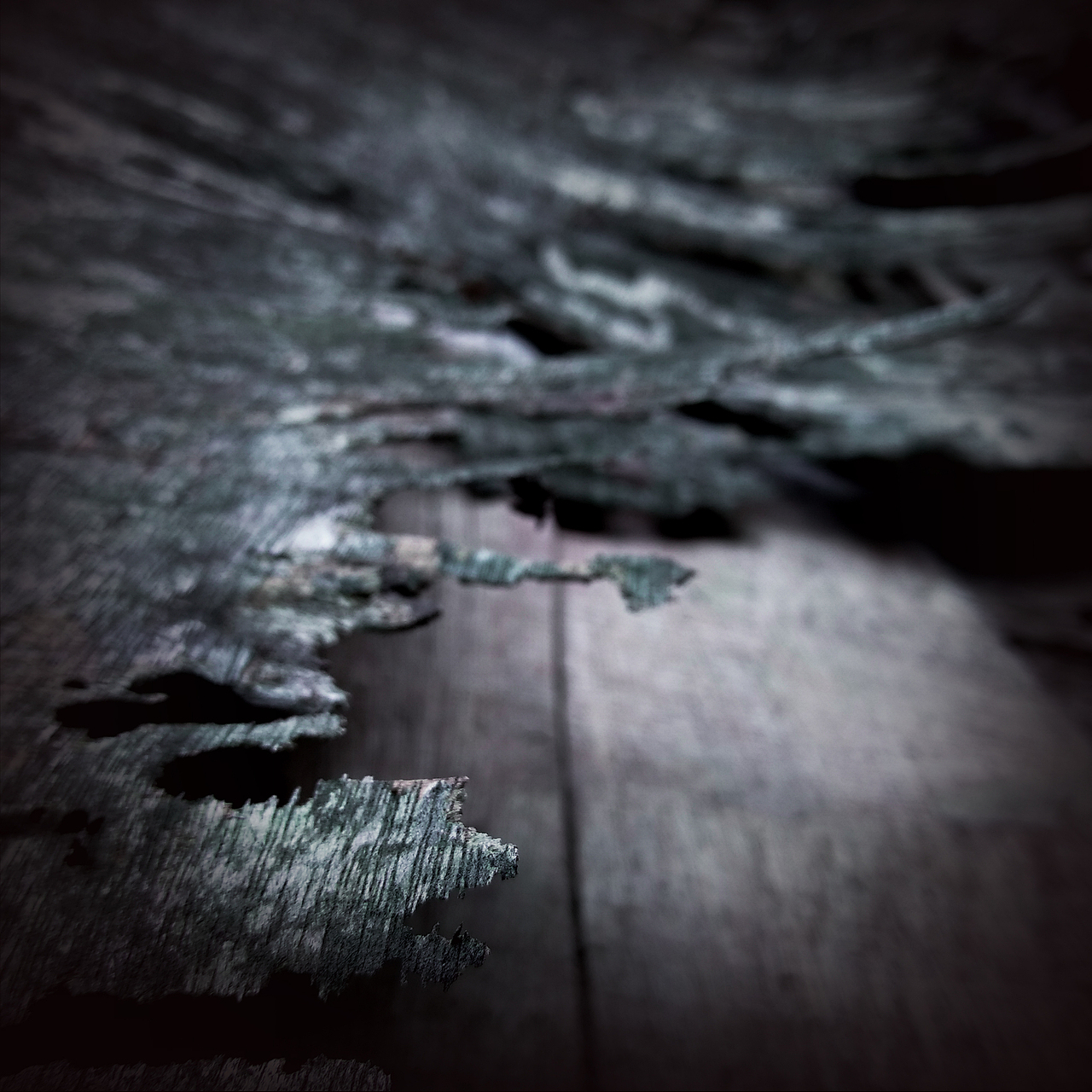 被忽视的自然美（图ZMTI0OTU3ODAw） - 风光摄影 - 站酷设计师Jauver原创素材 - 站酷ZCOOL