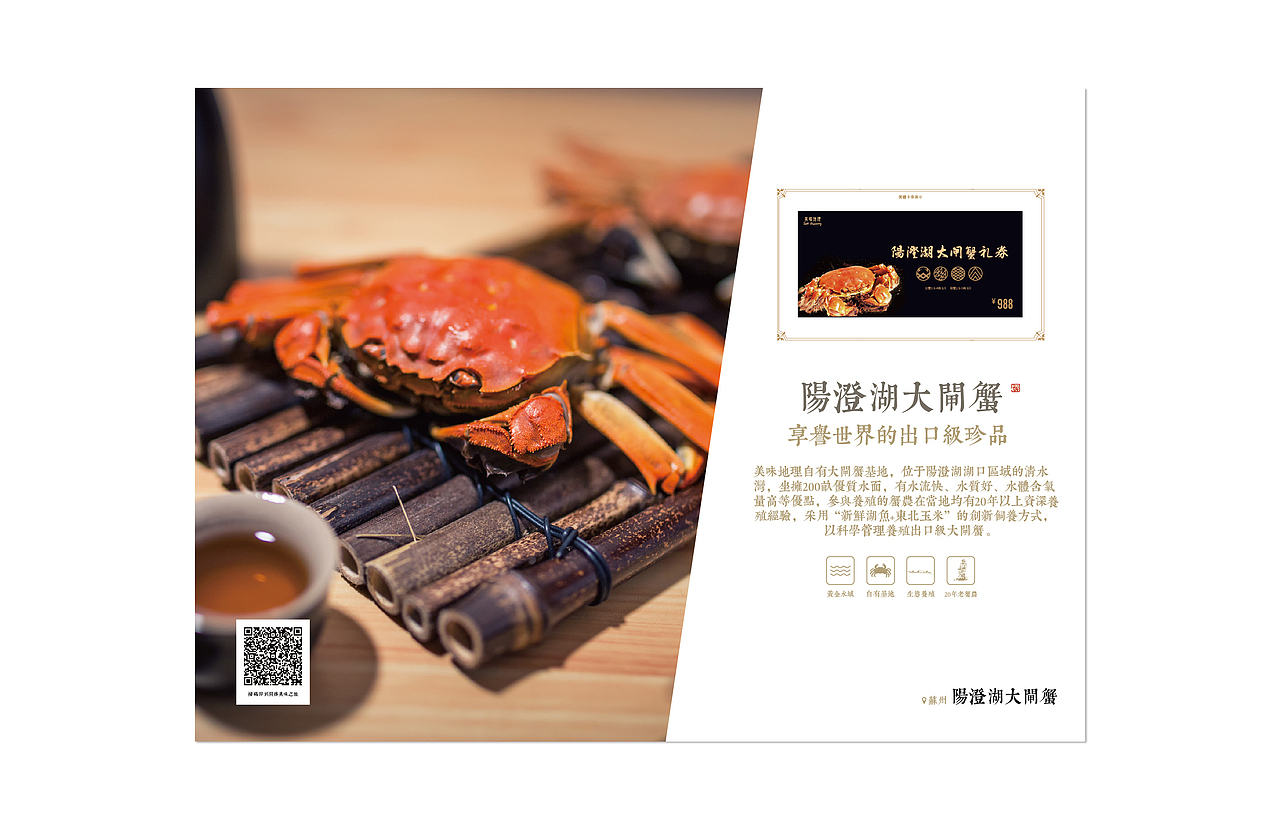产品宣传手册（图ZMTUxNzc5MTQ0） - 宣传物料 - 站酷设计师迷鹿56原创素材 - 站酷ZCOOL