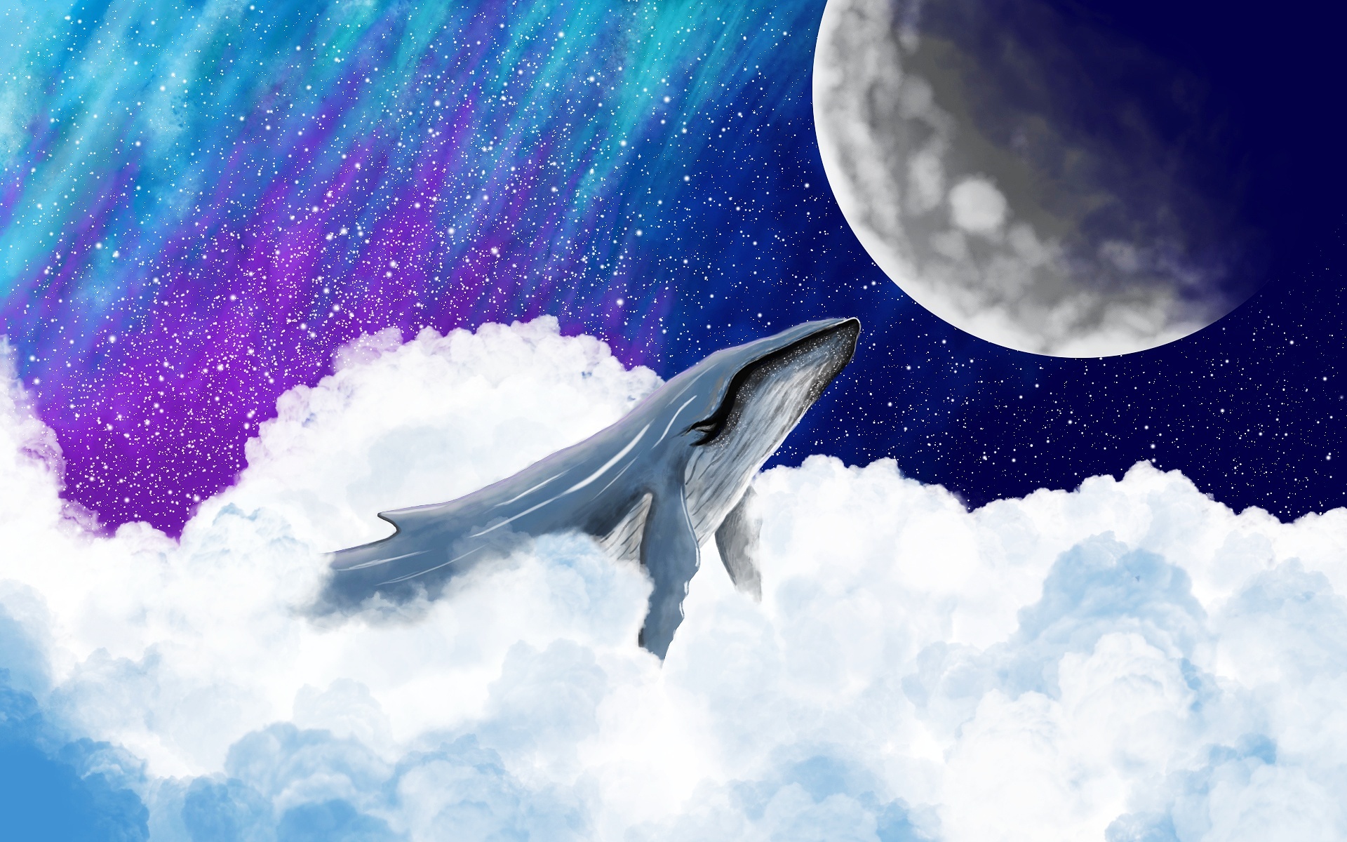 鲸鱼和月亮更配哦