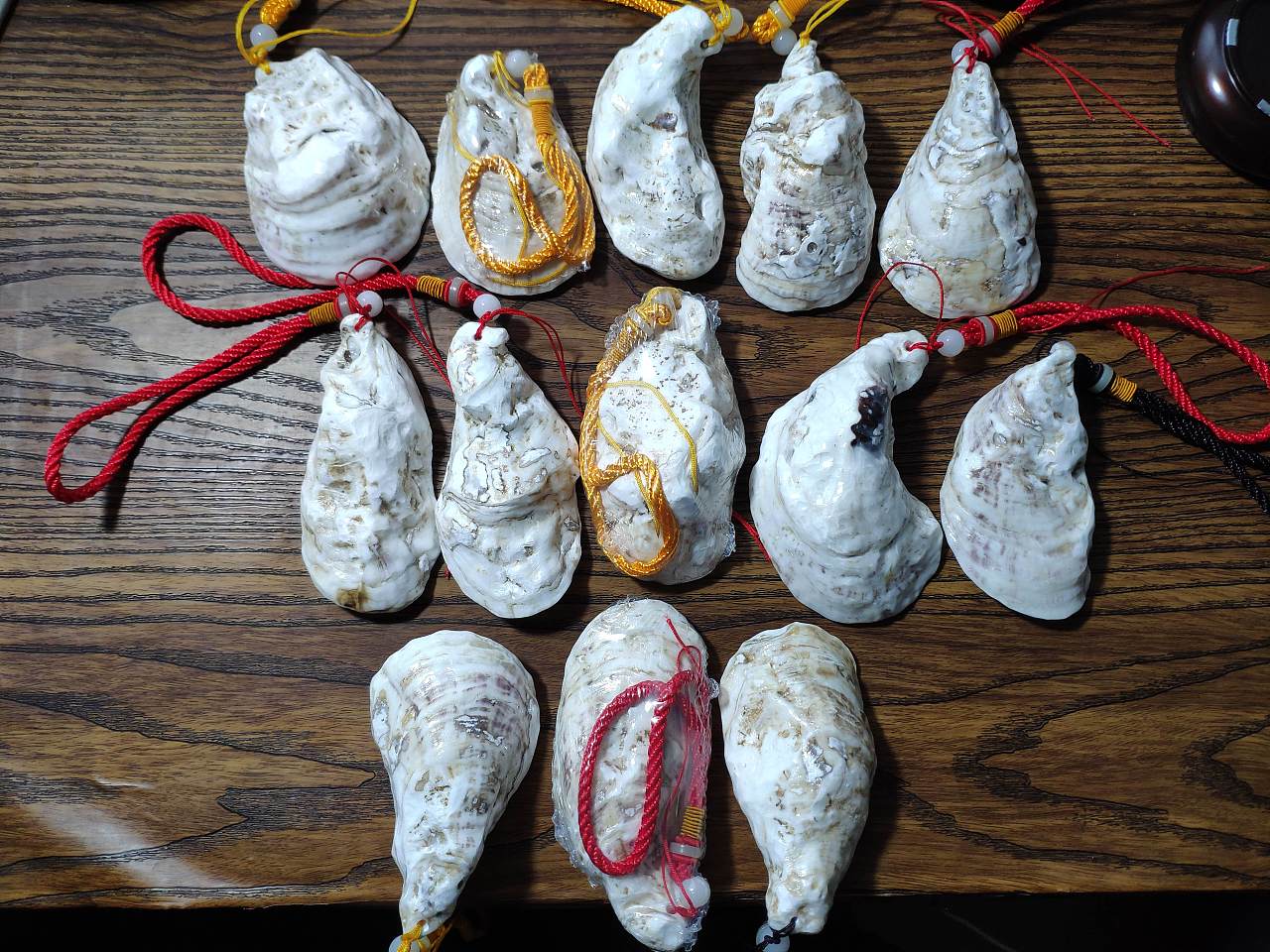 蚝壳龙|手工艺|其他手工艺|凡尼亨 - 原创作品 - 站酷 (zcool)