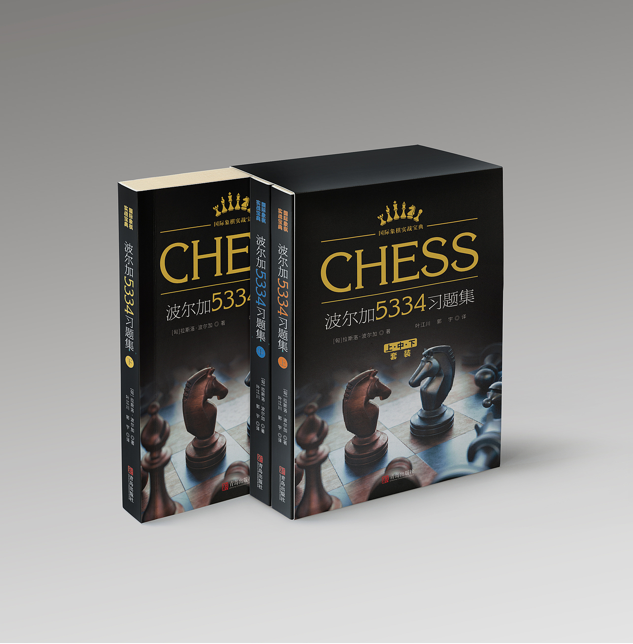 书籍封面（图ZMTE0MDg1NjY0） - 书籍/画册 - 站酷设计师MichaelaD原创素材 - 站酷ZCOOL